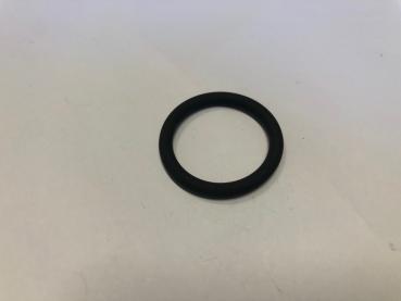 O-Ring (1)