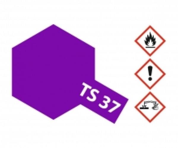 TS-37 Lavendel glänzend 100ml