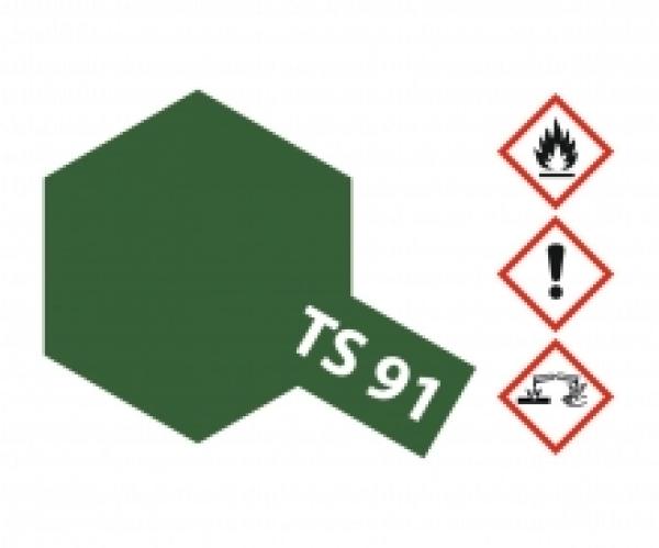 TS-91 JGSDF Dunkelgrün 100ml Spray